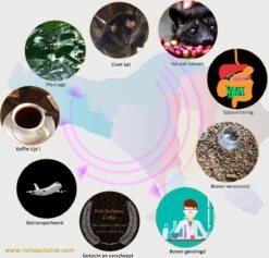 Kopi Luwak Koffie. 35 Gram Ongemalen Bonen. Direct Trade. Single Origin. The Original By Rich.Exclusive. -Koffie Promotie Winkel 1200x1153 1