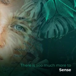 Soolong Sense Oost Timor Nr1000 Koffiebonen Smooth Lacau - Speciality Koffie Arabica Medium Roast Met Rijke Kruidige Smaak Met Heerlijke Ondertonen Van Karamel - Zak 250gram -Koffie Promotie Winkel 1200x1200 143