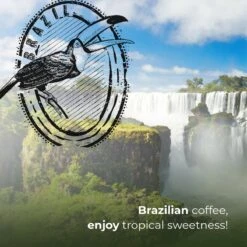 Soolong Enjoy Brazilie Nr4000 Koffiebonen Topacio Lungo - Speciality Koffie Arabica Medium Roast, Light Body Met Een Verfijnde Zacht Zoete Smaak. - Zak 250gram -Koffie Promotie Winkel 1200x1200 196