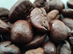 Voordeelpakket: Den Leeuw Lungo (80 Koffiecups) - Roast Koffiecups - Echte Hollandsche Koffie Van Den Leeuw In Nespresso Cups - Nespresso Compatibele Koffie Cups -Koffie Promotie Winkel 1200x900