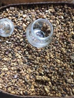 Kopi Luwak Koffie. 35 Gram Ongemalen Bonen. Direct Trade. Single Origin. The Original By Rich.Exclusive. -Koffie Promotie Winkel 900x1200